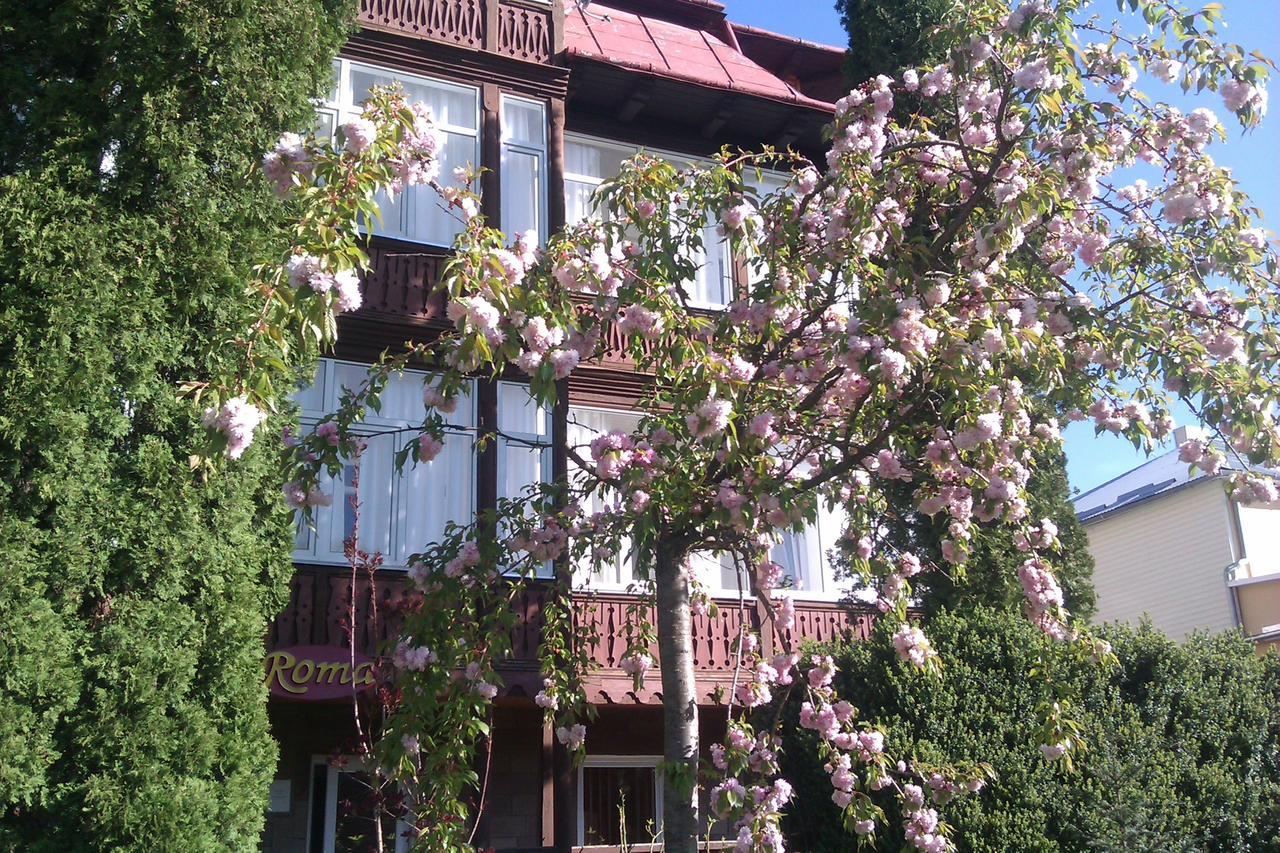 Hotel Сонячна à Trouskavets Extérieur photo